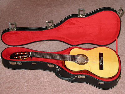 The Aria alto guitar