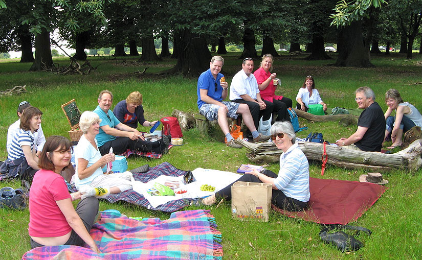 Picnic in the park