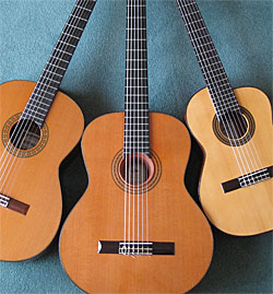 The contrabass guitar