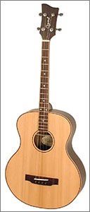 Tenor Guitar