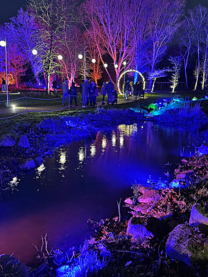 RHS Bridgewater - the Christmas Glow